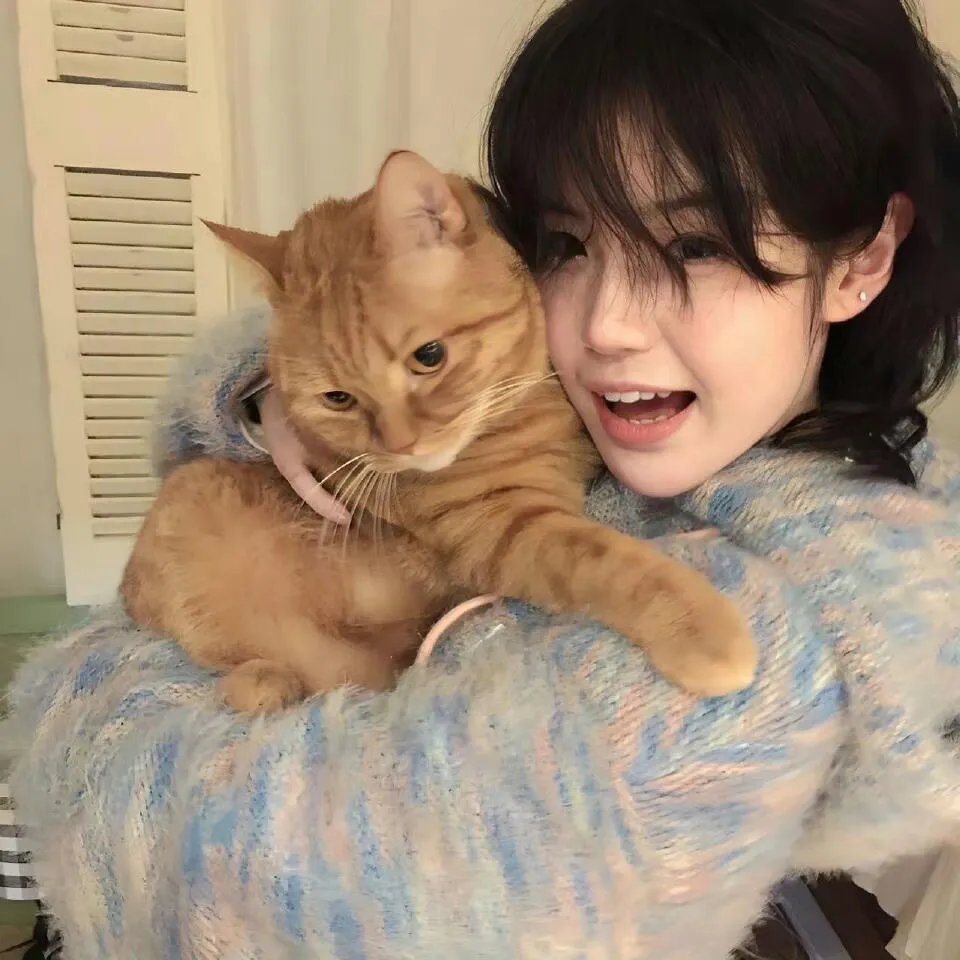 亲爱的柠檬精先生